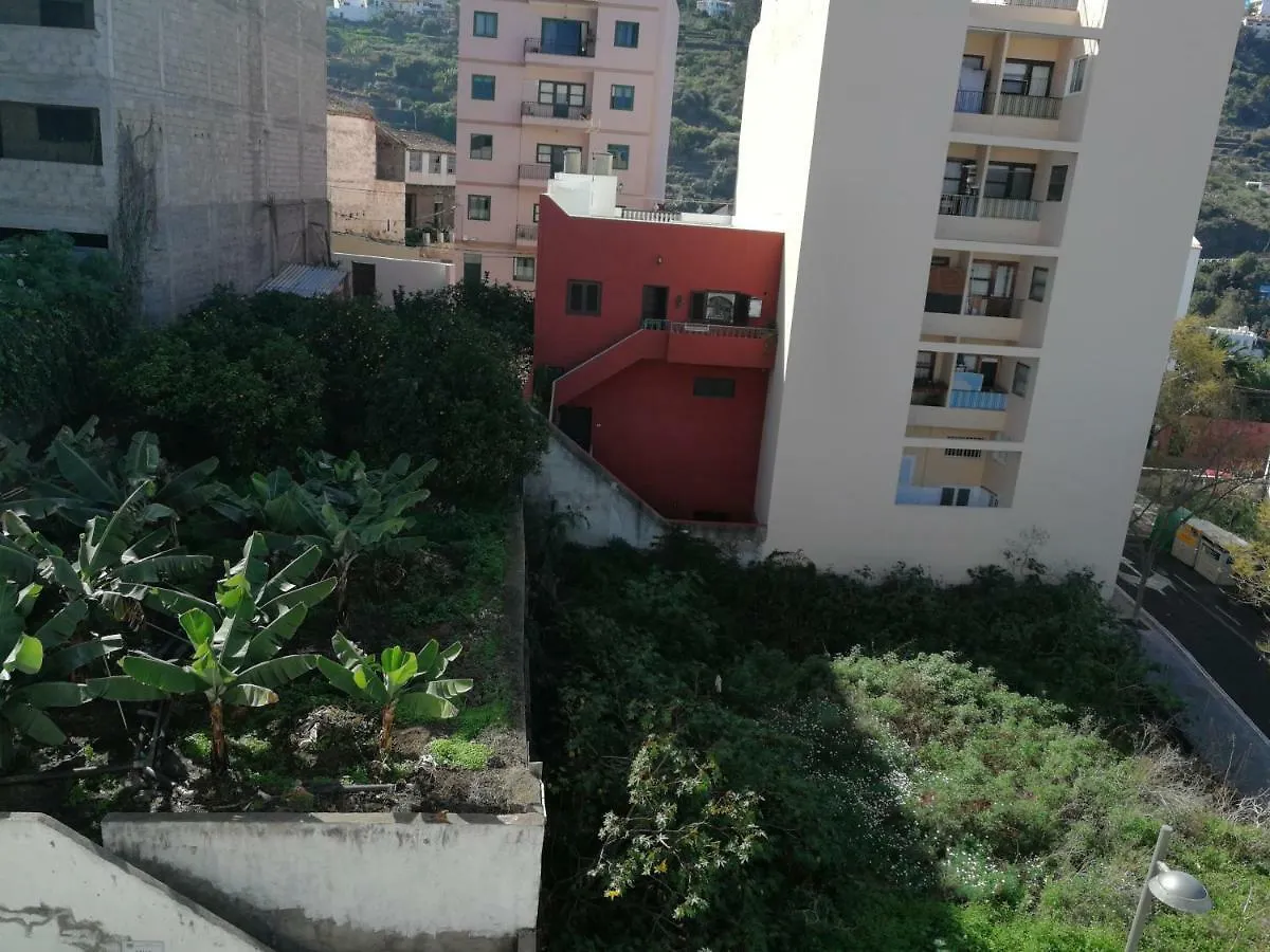 דירה איקוד דה לוס וינוס Apartamento Centro De Icod 5 Min. Drago